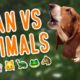 Dean vs. animals!! 🐱