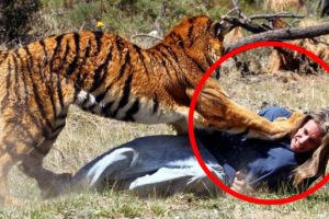 Don’t EVER Watch These 6 Tiger Encounters at 3:02 PM