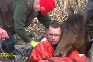 Dramatic horse rescue in North Smithfield, RI