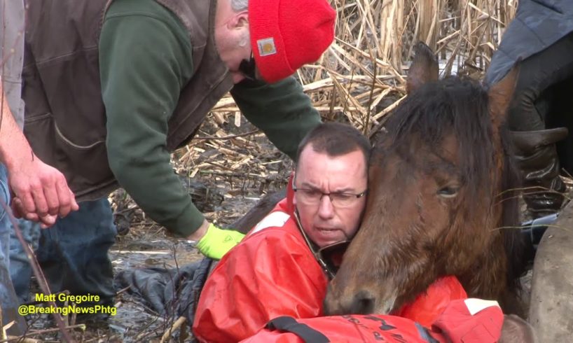 Dramatic horse rescue in North Smithfield, RI