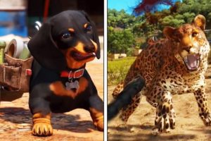 FAR CRY 6 - Chorizo Dog vs a Jaguar (Animal Fight)