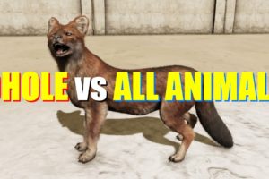 Far Cry 4 Animal Fight - Dhole vs All Animals