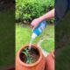 Firework in a cup - People are awesome or Fail
