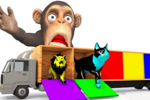 Funny Monkey Truck with 3D Adventure Animals & Excavator Toys - العربية Animation for Kids