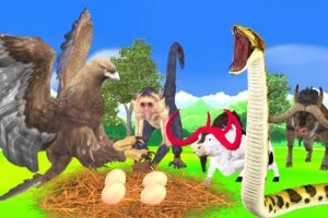 Giant Eagle vs Snake Fight for Snake Eggs Wild Animal Fights Cartoon Animal Revenge Stories