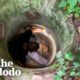 Guy Comforts The Terrified Dog He Rescued | The Dodo