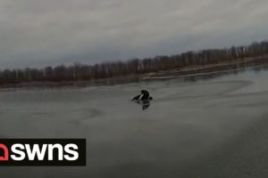 Heroic New York police officer jumps into frozen lake to rescue dog | SWNS