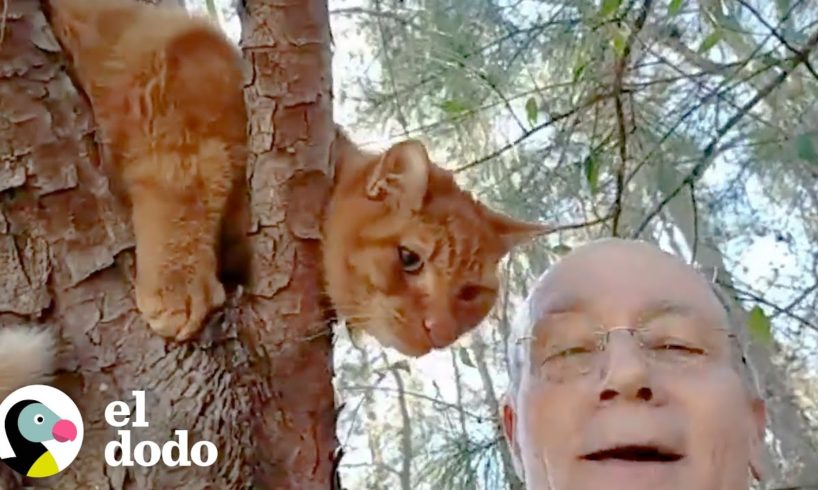 Hombre jubilado rescata a más de 700 gatos de los árboles | Dodo Héroes | El Dodo