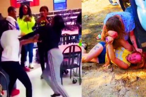 Hood Girl Fight Compilation