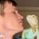 Iguana trepa sobre su papá y le da besos | El Dodo