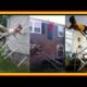 Ladder Fails Compilation Mashup of People Falling Off Ladders
