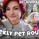 MY WEEKLY PET ROUTINE W/ 20+ ANIMALS! 🐾