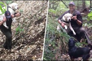 Man Rescues A Blind Dog That Had Been Missing For Over A Week