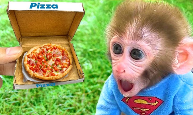 Monkey Baby Bon Bon eats pizza and the puppy drives the car to the farm to play with the chicks