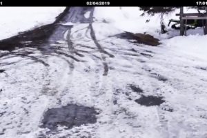 Mother dog rescues tiny pup from reversing car.