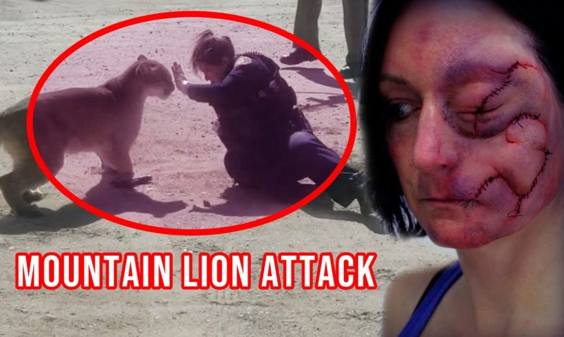 Mountain Lion Attack, Mountain Lion Encounters Shocking Videos