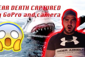 NEAR DEATH CAPTURED by GoPro and camera(REACTION)