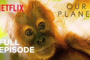 Our Planet | Jungles | FULL EPISODE | Netflix