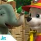 PAW Patrol Amazing Rescues w/ Marshall! | 30 Minute Compilation | Nick Jr.
