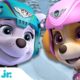 PAW Patrol BEST Winter Rescues! ❄️ | 30 Minute Compilation | Nick Jr.