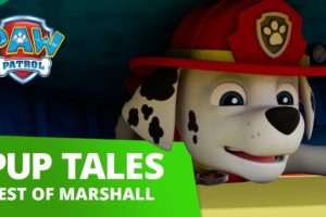 PAW Patrol - Marshall Rescue Mashup Compilation - PAW Patrol Official & Friends!