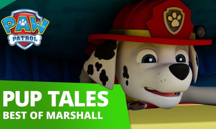 PAW Patrol - Marshall Rescue Mashup Compilation - PAW Patrol Official & Friends!