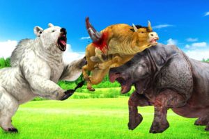 POLAR BEAR vs HIPPO | Big Animals Fights | Animal Fights Videos