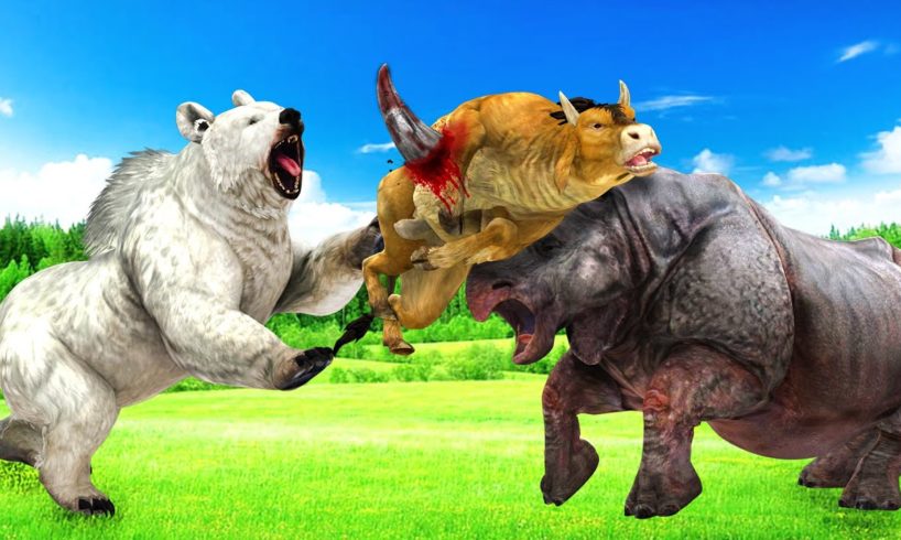 POLAR BEAR vs HIPPO | Big Animals Fights | Animal Fights Videos