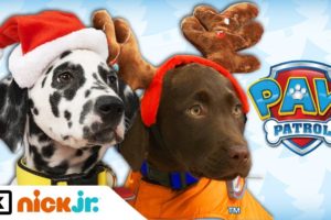 Paw Patrol | Real Pups Save Christmas | Nick Jr. UK