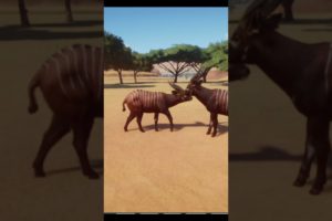 Planet Zoo Animal Fights | 3D Animation | Kidozz | #shorts