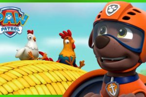 Pups Best Animal Rescues! 🐓🐮  | PAW Patrol | Cartoons for Kids Compilation
