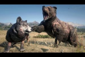 RED DEAD REDEMPTION 2 - ALL ANIMAL FIGHTS - PART 6!!!!