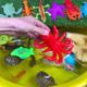 Sea Creatures, Colorful Animals Playing Under Water, Duck, Starfish, Gecko, Guppies, Turtle, Shrimp