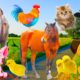 Sounds and weights of farm animals - Horses, elephants, cows, chickens, cats
