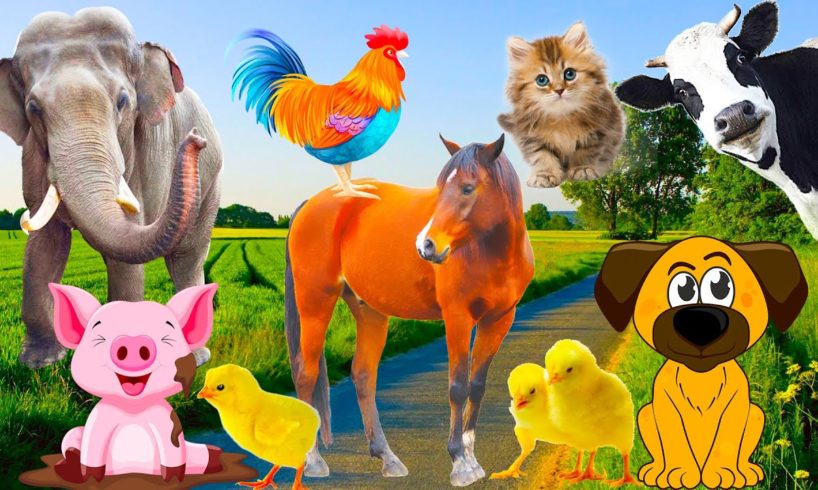 Sounds and weights of farm animals - Horses, elephants, cows, chickens, cats