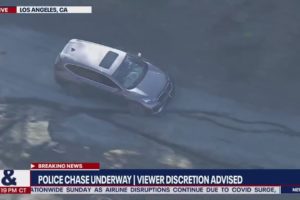 Strange car chase: Grand theft auto suspect takes police off-road | LiveNOW from FOX