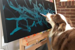 TALENTED PAINTING DOG (Animal With Insane Talents!)