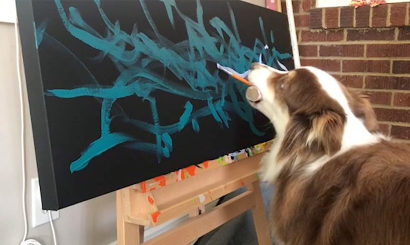 TALENTED PAINTING DOG (Animal With Insane Talents!)