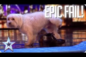 TOP EPIC FAILS! | Britain's Got Talent