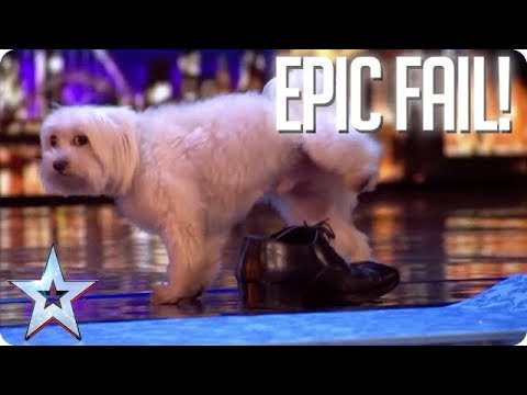 TOP EPIC FAILS! | Britain's Got Talent