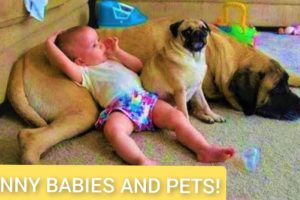 The Cute baby and Funny Animals Compilation - Kids and Pets #27