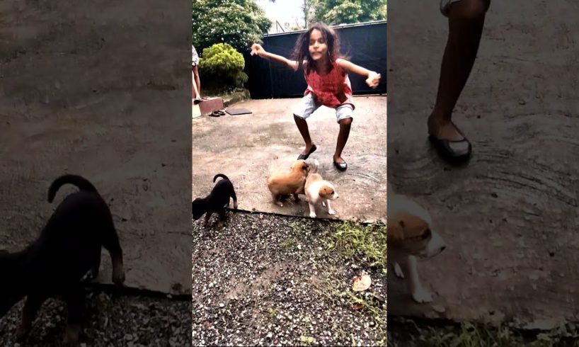 Time with Cutest Puppies #Shorts