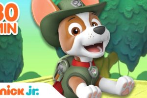 Tracker's BEST Rescues from Danger 🐾 PAW Patrol! | 30 Minute Compilation | Nick Jr.