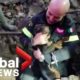 Two dogs stuck in fox den rescued by Italian firefighters