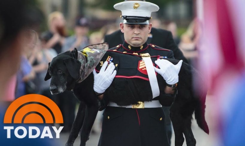 Watch A Marine Give His Beloved Dying Dog A Touching Final Ride | TODAY