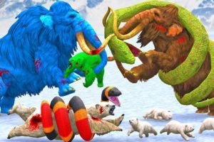 Zombie Bear Fight Anaconda Attacks Baby Polar Bear Saved By Mammoth Elephant Vs Blue Zombie Mammoth