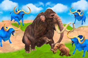 Zombie Bulls vs Woolly Mammoth Elephant Animal Fight | Mammoth Save Woolly Elephant From Giant Bulls