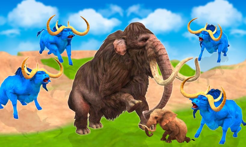 Zombie Bulls vs Woolly Mammoth Elephant Animal Fight | Mammoth Save Woolly Elephant From Giant Bulls