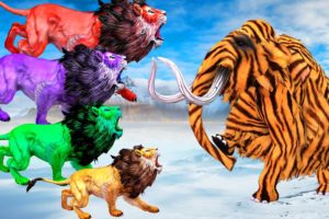 Zombie Tiger Elephant vs 5 Zombie Lions Animal Fight | Tiger Elephant Save Cartoon Cow From Lions