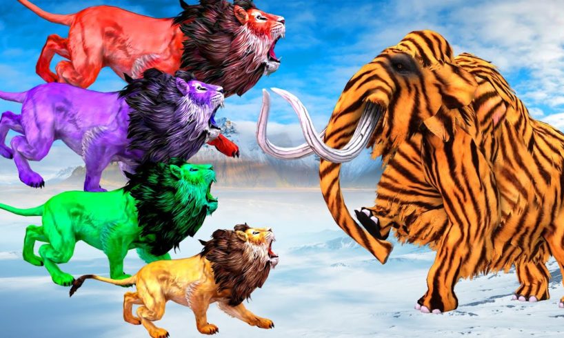 Zombie Tiger Elephant vs 5 Zombie Lions Animal Fight | Tiger Elephant Save Cartoon Cow From Lions